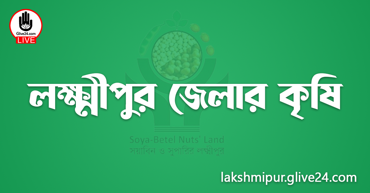 লক্ষ্মীপুর জেলার কৃষি