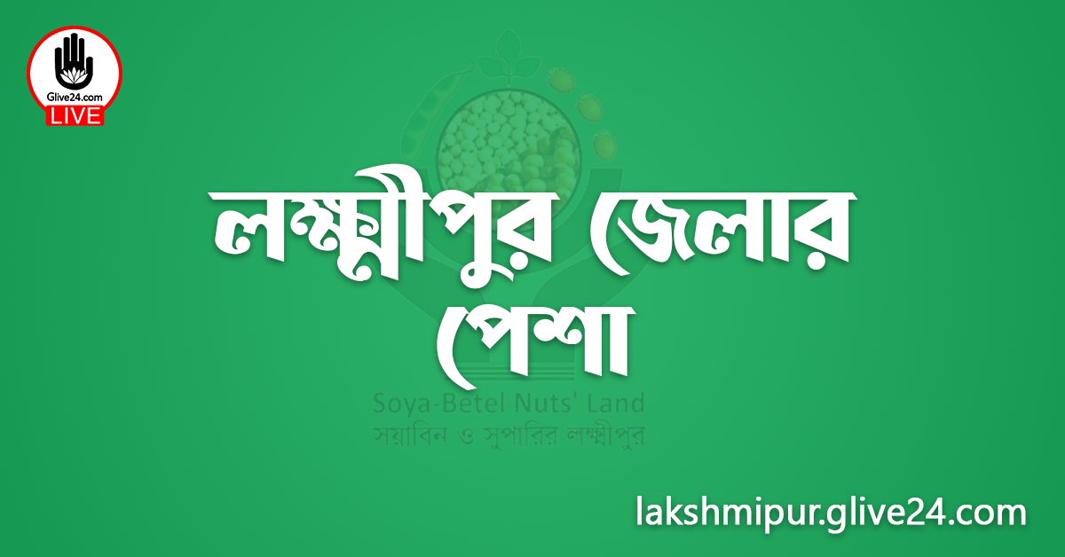 লক্ষ্মীপুর জেলার পেশা