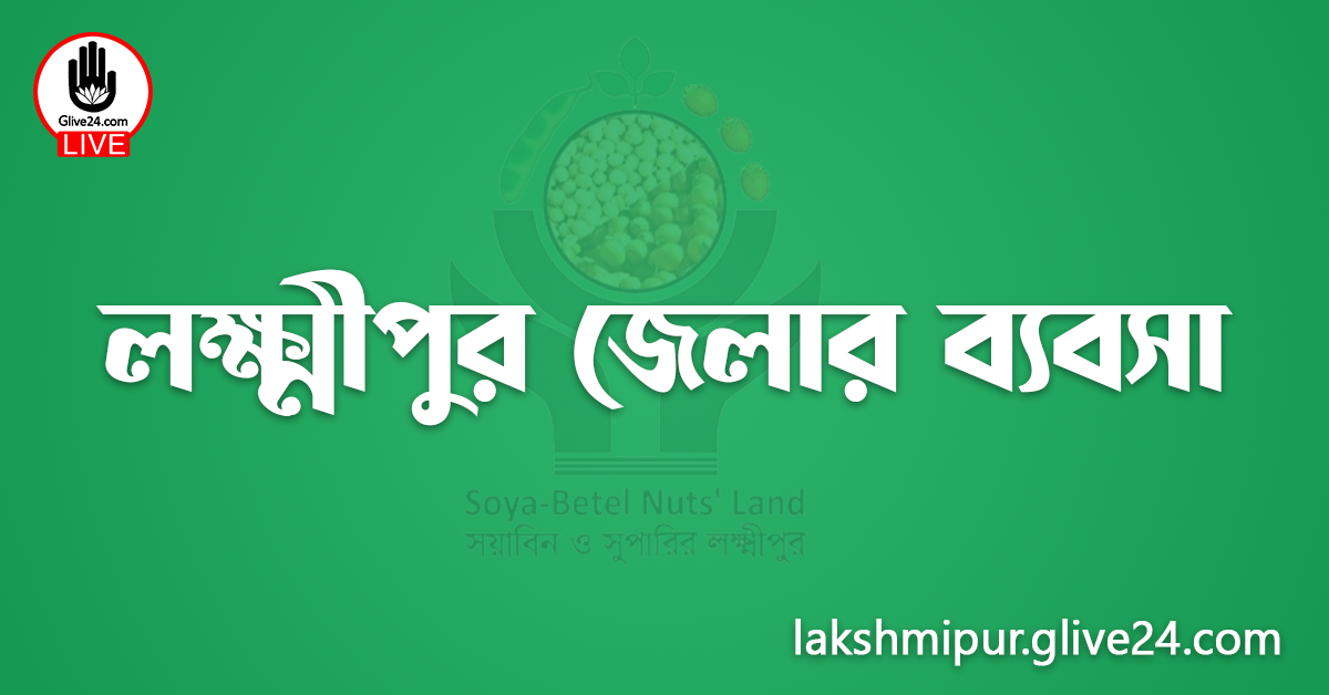লক্ষ্মীপুর জেলার ব্যবসা