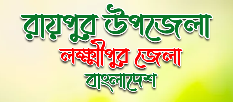 রায়পুর উপজেলা